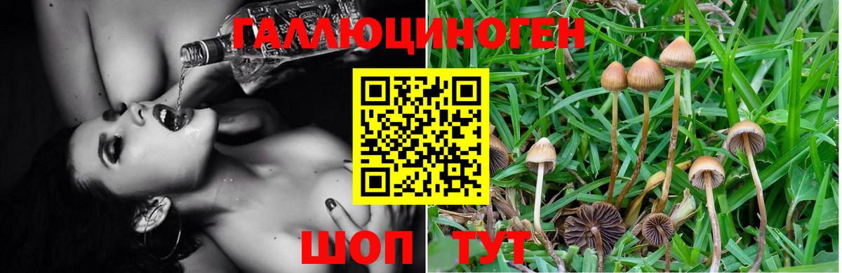 LSD-25  МЕФ  Кулебаки  Вход с VPN  Марихуана  Меф кристаллы  Кокаин 